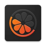 Logo of Mandarin android Application 